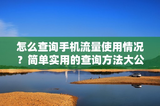 怎么查询手机流量使用情况？简单实用的查询方法大公开！
