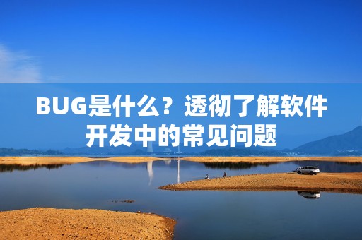 BUG是什么？透彻了解软件开发中的常见问题