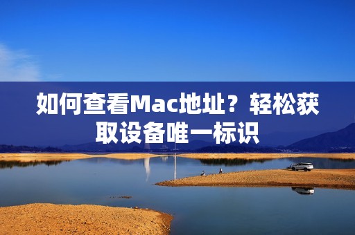 如何查看Mac地址？轻松获取设备唯一标识