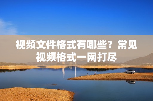 视频文件格式有哪些？常见视频格式一网打尽