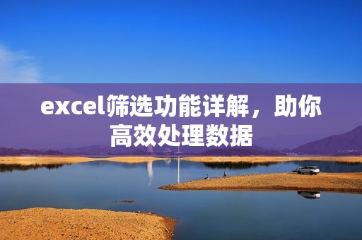 excel筛选功能详解，助你高效处理数据
