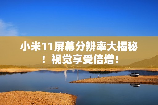 小米11屏幕分辨率大揭秘！视觉享受倍增！
