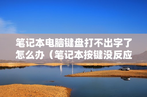 笔记本电脑键盘打不出字了怎么办（笔记本按键没反应是怎么回事）