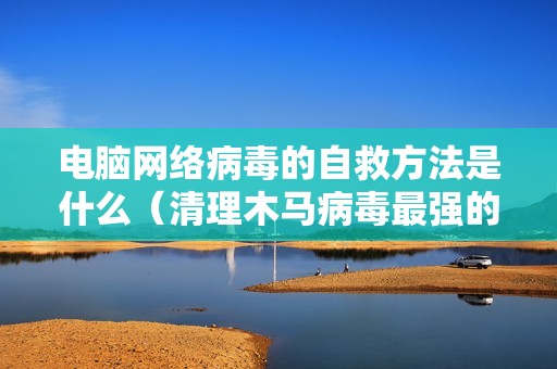 电脑网络病毒的自救方法是什么（清理木马病毒最强的软件）