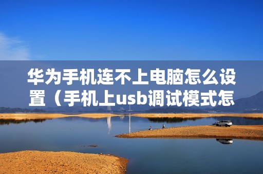 华为手机连不上电脑怎么设置（手机上usb调试模式怎么打开）