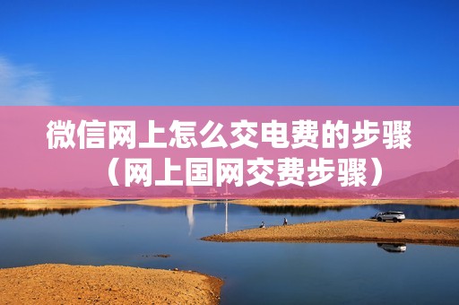 微信网上怎么交电费的步骤（网上国网交费步骤）