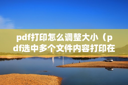 pdf打印怎么调整大小（pdf选中多个文件内容打印在一张纸上的方法）