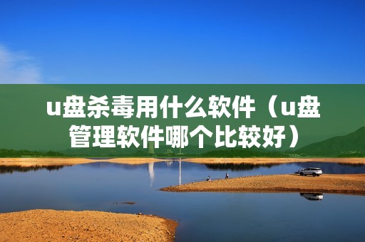 u盘杀毒用什么软件（u盘管理软件哪个比较好）