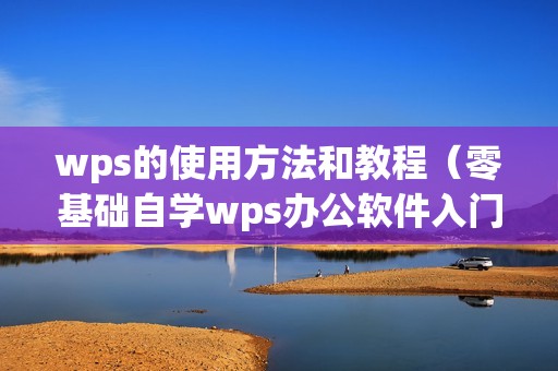 wps的使用方法和教程（零基础自学wps办公软件入门技巧）