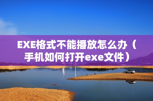 EXE格式不能播放怎么办（手机如何打开exe文件）