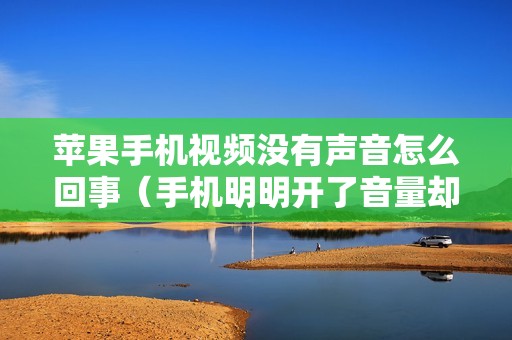 苹果手机视频没有声音怎么回事（手机明明开了音量却没有声音怎么恢复）