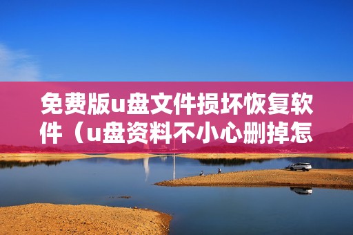 免费版u盘文件损坏恢复软件（u盘资料不小心删掉怎么找回来）
