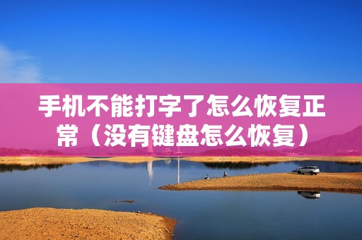 手机不能打字了怎么恢复正常（没有键盘怎么恢复）