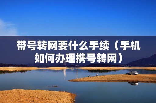 带号转网要什么手续（手机如何办理携号转网）