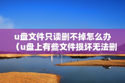 u盘文件只读删不掉怎么办(u盘上有些文件损坏无法删除怎么办)