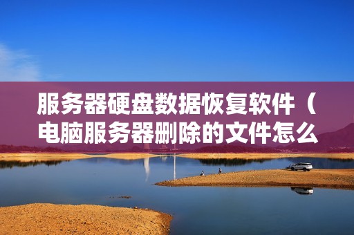 服务器硬盘数据恢复软件(电脑服务器删除的文件怎么找回)