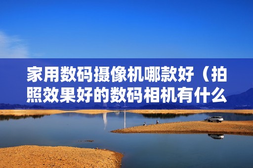 家用数码摄像机哪款好(拍照效果好的数码相机有什么牌子)