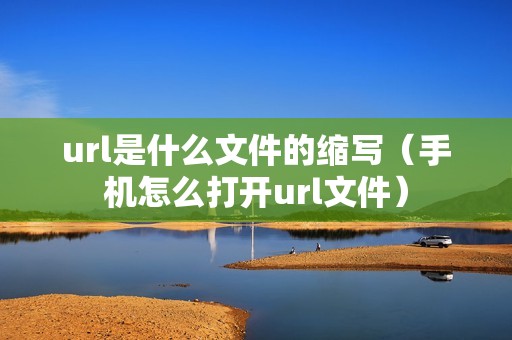 url是什么文件的缩写（手机怎么打开url文件）