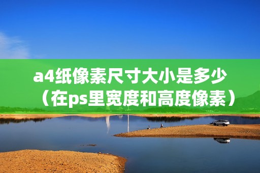 a4纸像素尺寸大小是多少（在ps里宽度和高度像素）