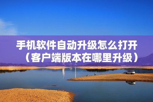 手机软件自动升级怎么打开（客户端版本在哪里升级）