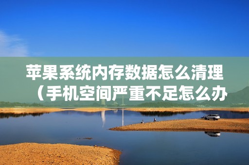 苹果系统内存数据怎么清理（手机空间严重不足怎么办）