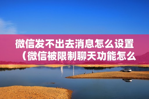 微信发不出去消息怎么设置（微信被限制聊天功能怎么解除）
