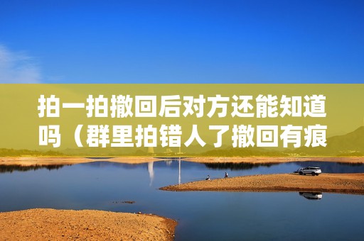 拍一拍撤回后对方还能知道吗（群里拍错人了撤回有痕迹吗）