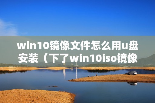win10镜像文件怎么用u盘安装（下了win10iso镜像怎么用）