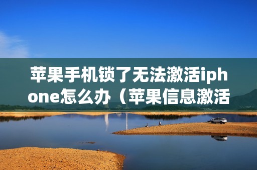 苹果手机锁了无法激活iphone怎么办（苹果信息激活出错的解决方法）