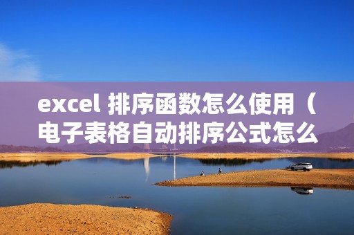 excel 排序函数怎么使用（电子表格自动排序公式怎么弄）
