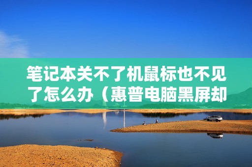 笔记本关不了机鼠标也不见了怎么办（惠普电脑黑屏却开着机的解决方法）