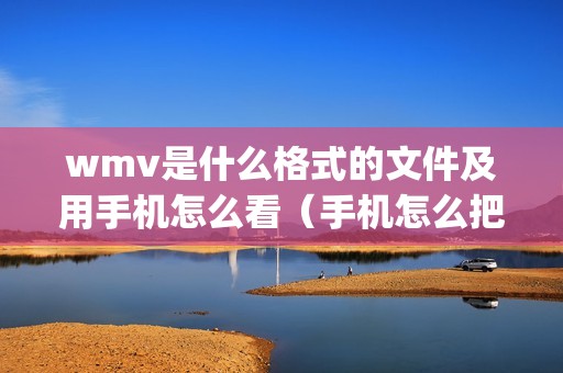 wmv是什么格式的文件及用手机怎么看（手机怎么把wmv转换成mp4格式）