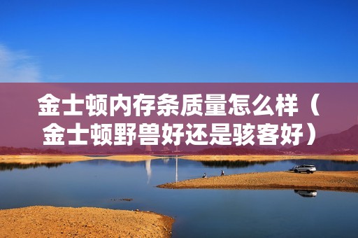 金士顿内存条质量怎么样（金士顿野兽好还是骇客好）