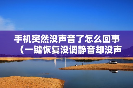 手机突然没声音了怎么回事（一键恢复没调静音却没声音）