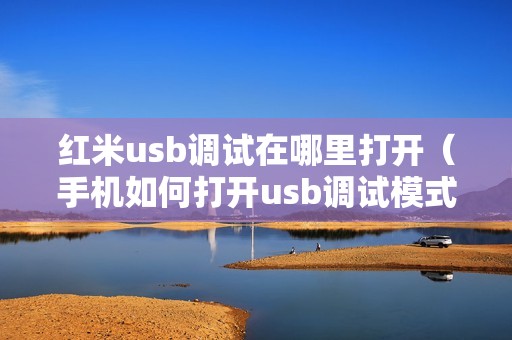 红米usb调试在哪里打开（手机如何打开usb调试模式）