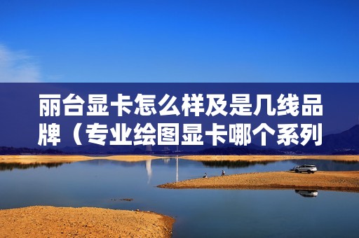丽台显卡怎么样及是几线品牌（专业绘图显卡哪个系列好）
