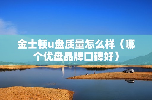 金士顿u盘质量怎么样（哪个优盘品牌口碑好）