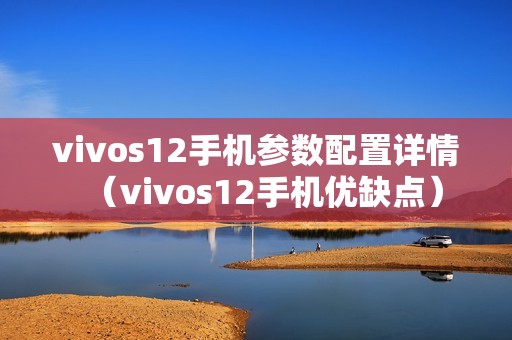 vivos12手机参数配置详情（vivos12手机优缺点）
