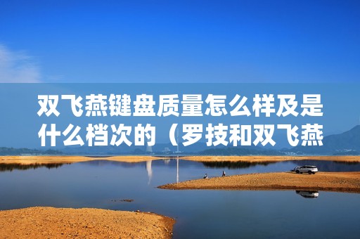 双飞燕键盘质量怎么样及是什么档次的（罗技和双飞燕键盘哪个好）