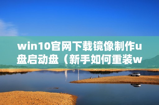 win10官网下载镜像制作u盘启动盘（新手如何重装win10系统）