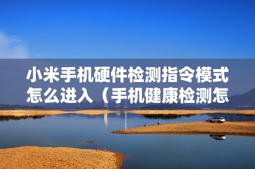 小米手机硬件检测指令模式怎么进入（手机健康检测怎么检测）