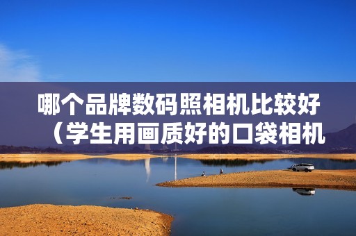 哪个品牌数码照相机比较好（学生用画质好的口袋相机是哪款）