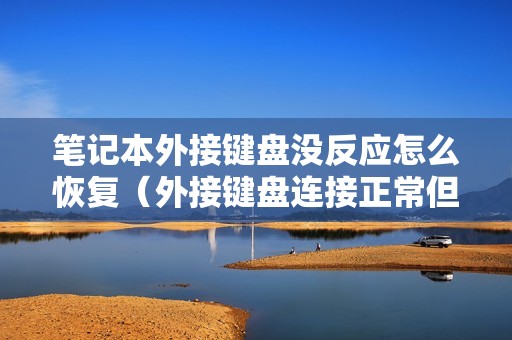 笔记本外接键盘没反应怎么恢复（外接键盘连接正常但无法使用怎么办）