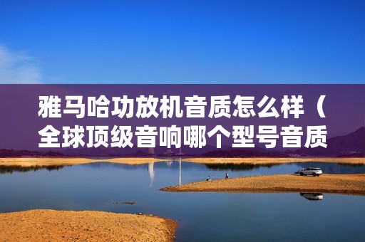 雅马哈功放机音质怎么样（全球顶级音响哪个型号音质好）