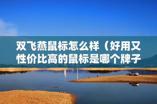 双飞燕鼠标怎么样（好用又性价比高的鼠标是哪个牌子）