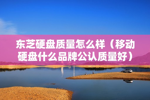 东芝硬盘质量怎么样（移动硬盘什么品牌公认质量好）