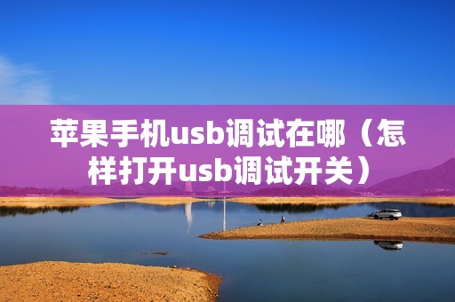苹果手机usb调试在哪（怎样打开usb调试开关）