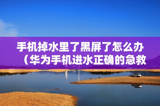 手机掉水里了黑屏了怎么办（华为手机进水正确的急救方法）