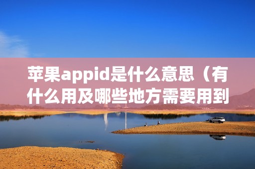 苹果appid是什么意思(有什么用及哪些地方需要用到)