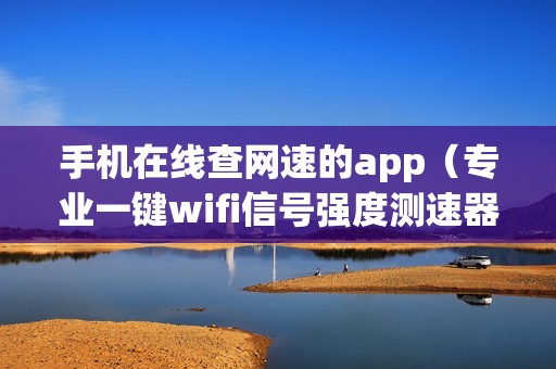 手机在线查网速的app（专业一键wifi信号强度测速器）